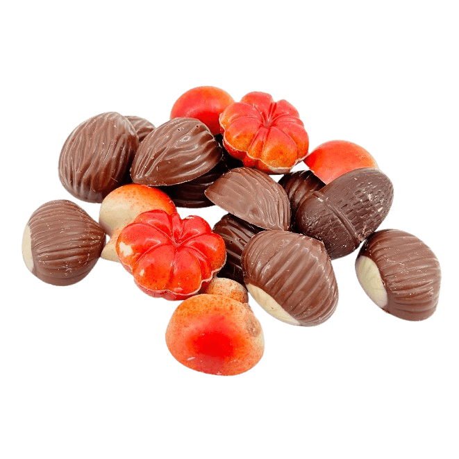 Autumn fruits in chocolate