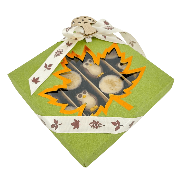 Mix of autumn pralines in a green gift box