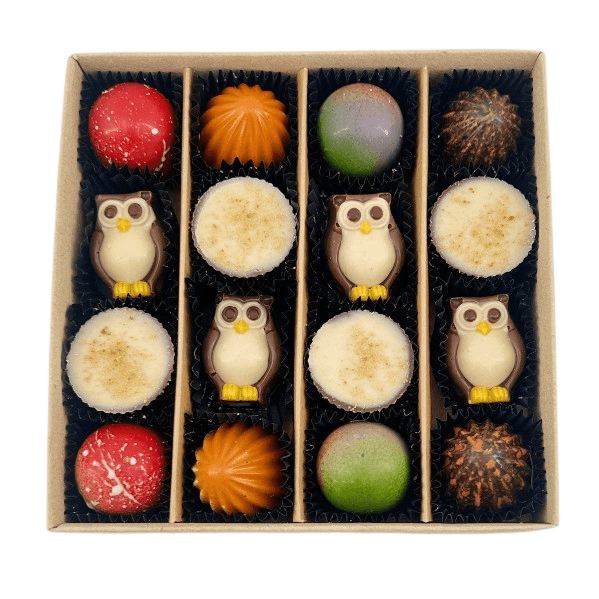 Mix of autumn pralines in a brown gift box