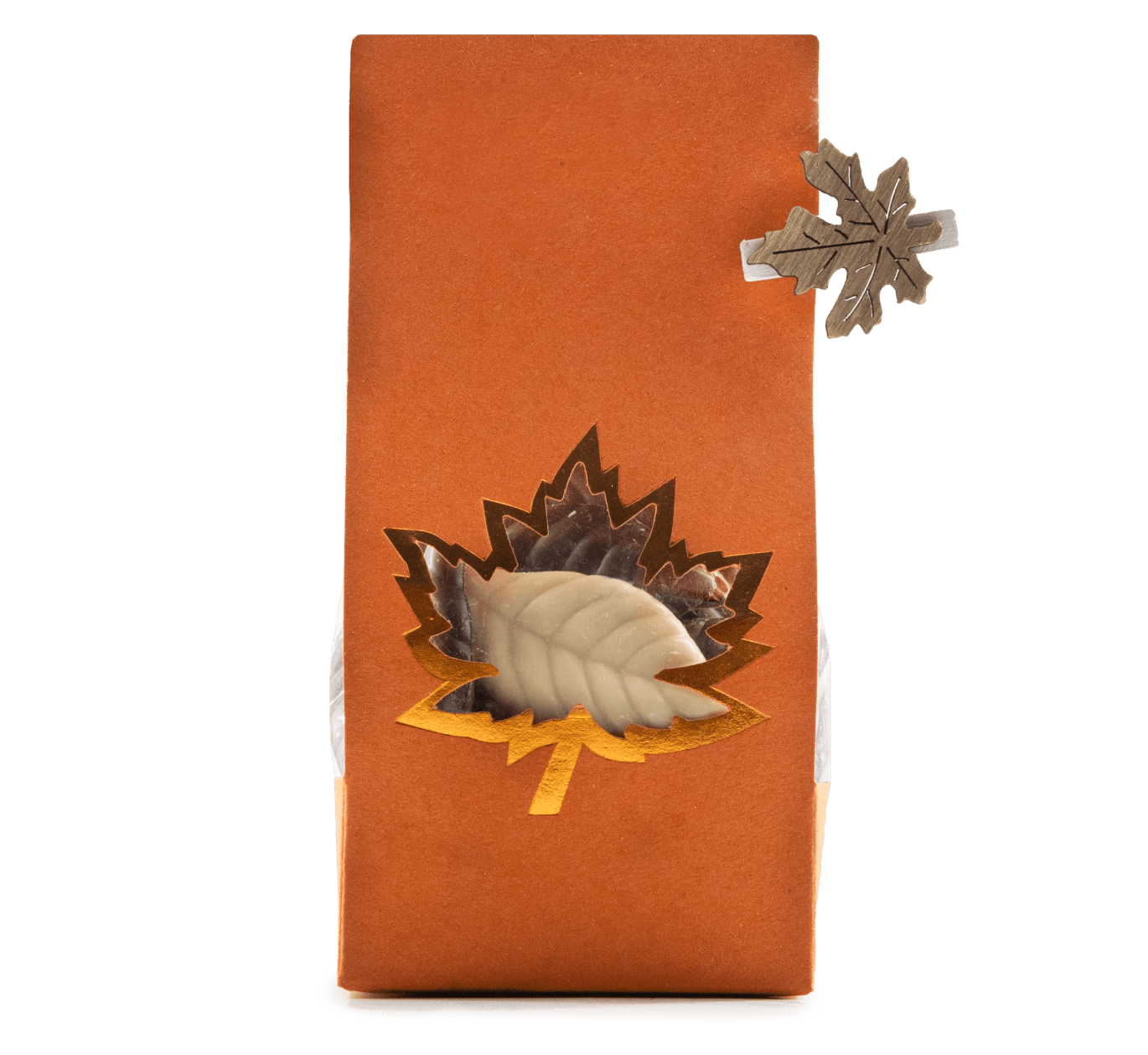 Mix of chocolate autumn leaves