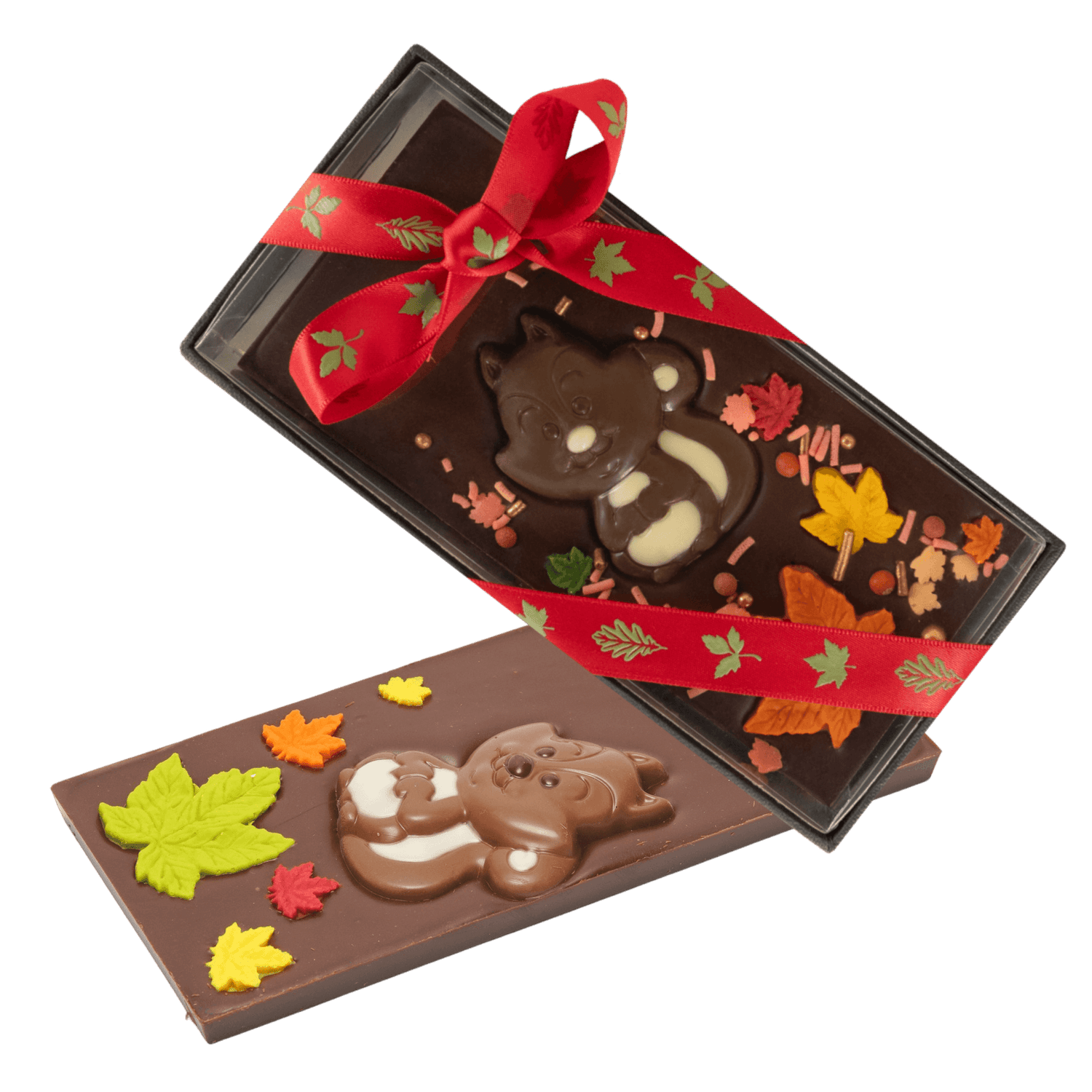 Dark chocolate squirrel bar 125g