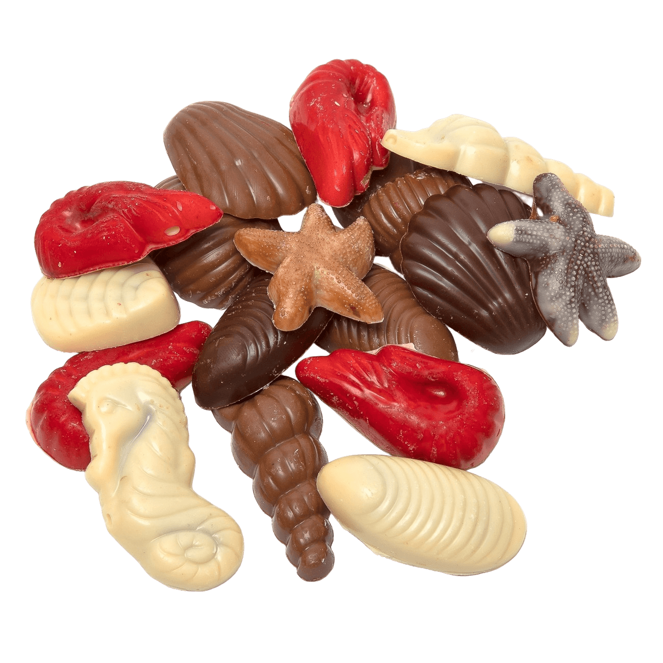 Chocolate sea shells 150g