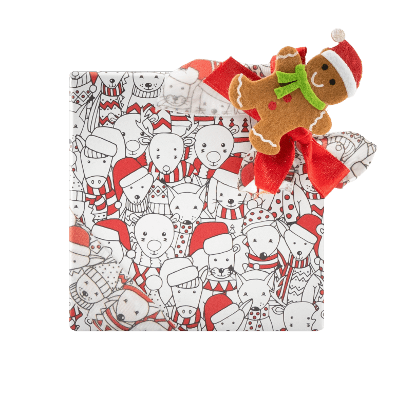 Christmas box 9 pralines 135g